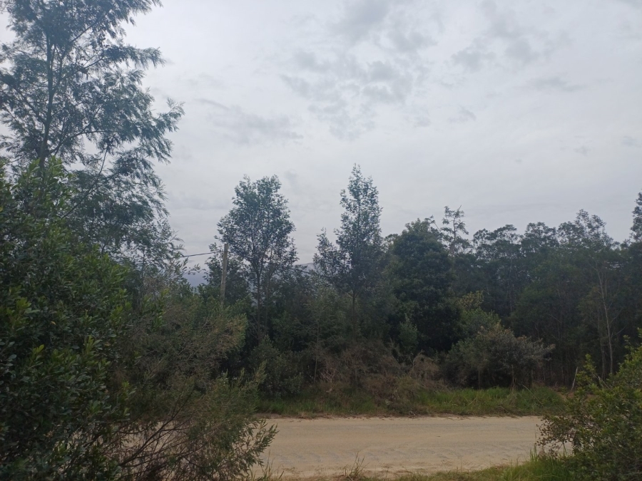 Commercial Property for Sale in Hoekwil Western Cape